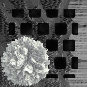 Nostalgia Monochrome